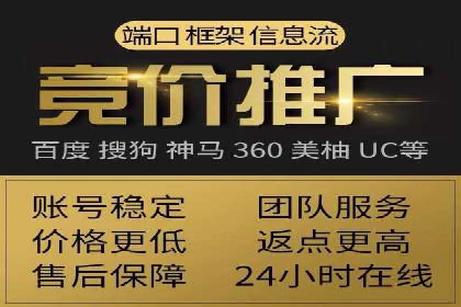 顶尖SEM竞价代运营公司案例分析