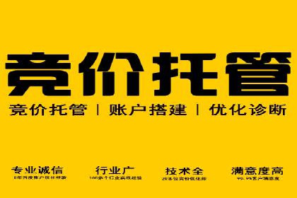 百度竞价排名实战：关键词优化与广告创意结合案例